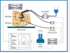 urodynamics